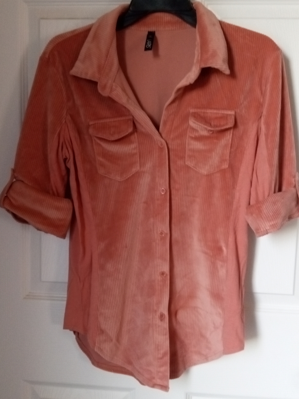 Lapis Rose-Tone Corduroy Button-Down Shirt
